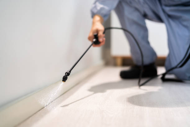 Licensed Rodent Control service in South Shore, KY - Nex Pest Control