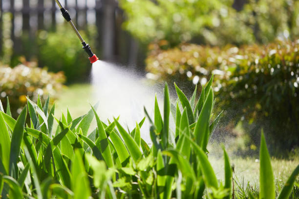 24/7 Emergency Rodent Control experts in South Shore, KY