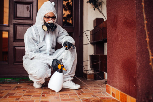 Reliable Rodent Control contractor in South Shore, KY by Nex Pest Control