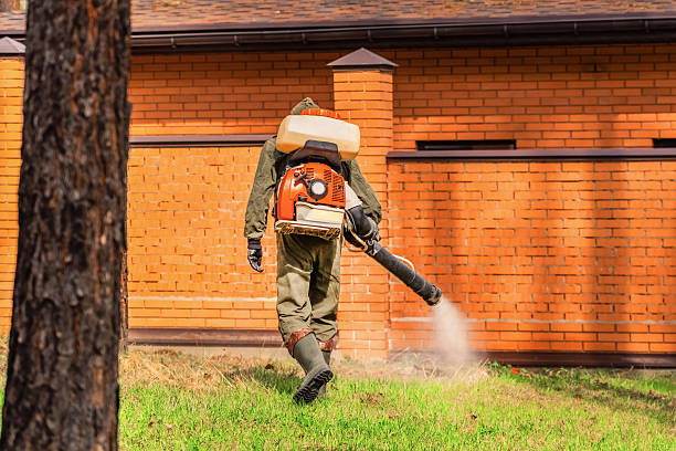 Trusted Rodent Control service in South Shore, KY - Nex Pest Control